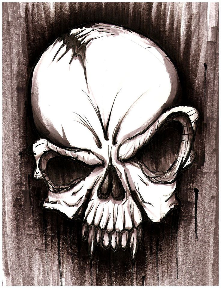 Skull Sketch by hardartkustoms on deviantART Skull sketch, Skulls