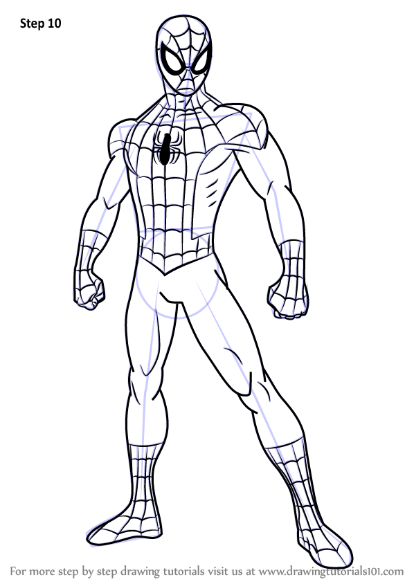 How to Draw Ultimate SpiderMan (Ultimate SpiderMan) Step by Step