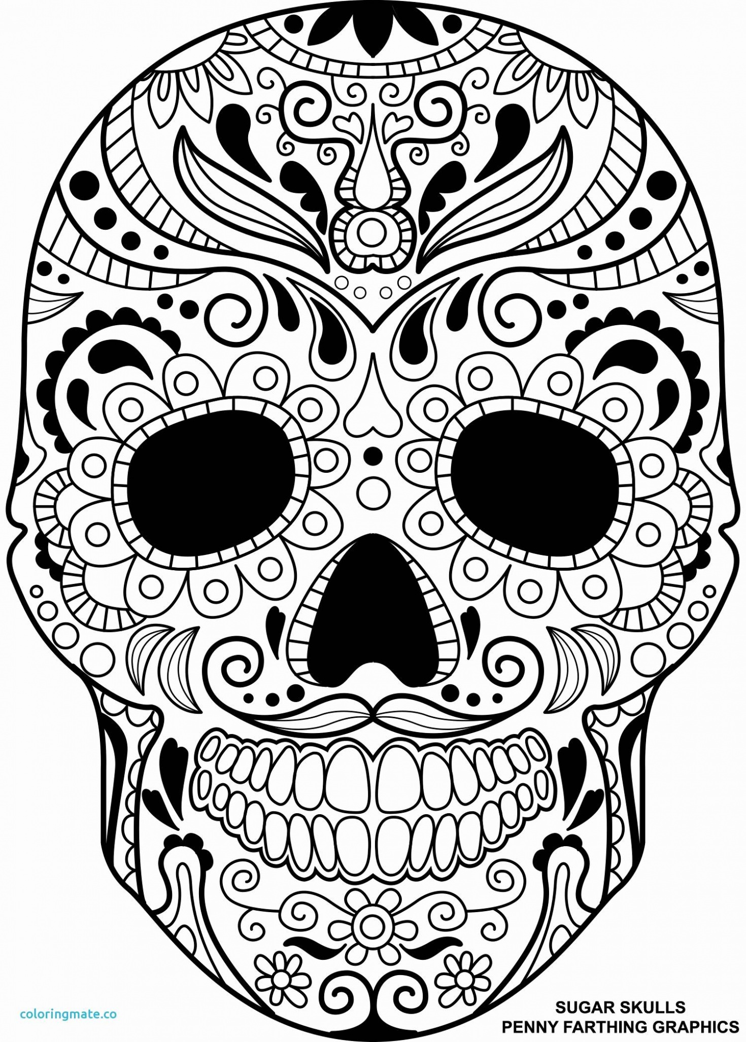 Day Of The Dead Skull Drawings at Explore