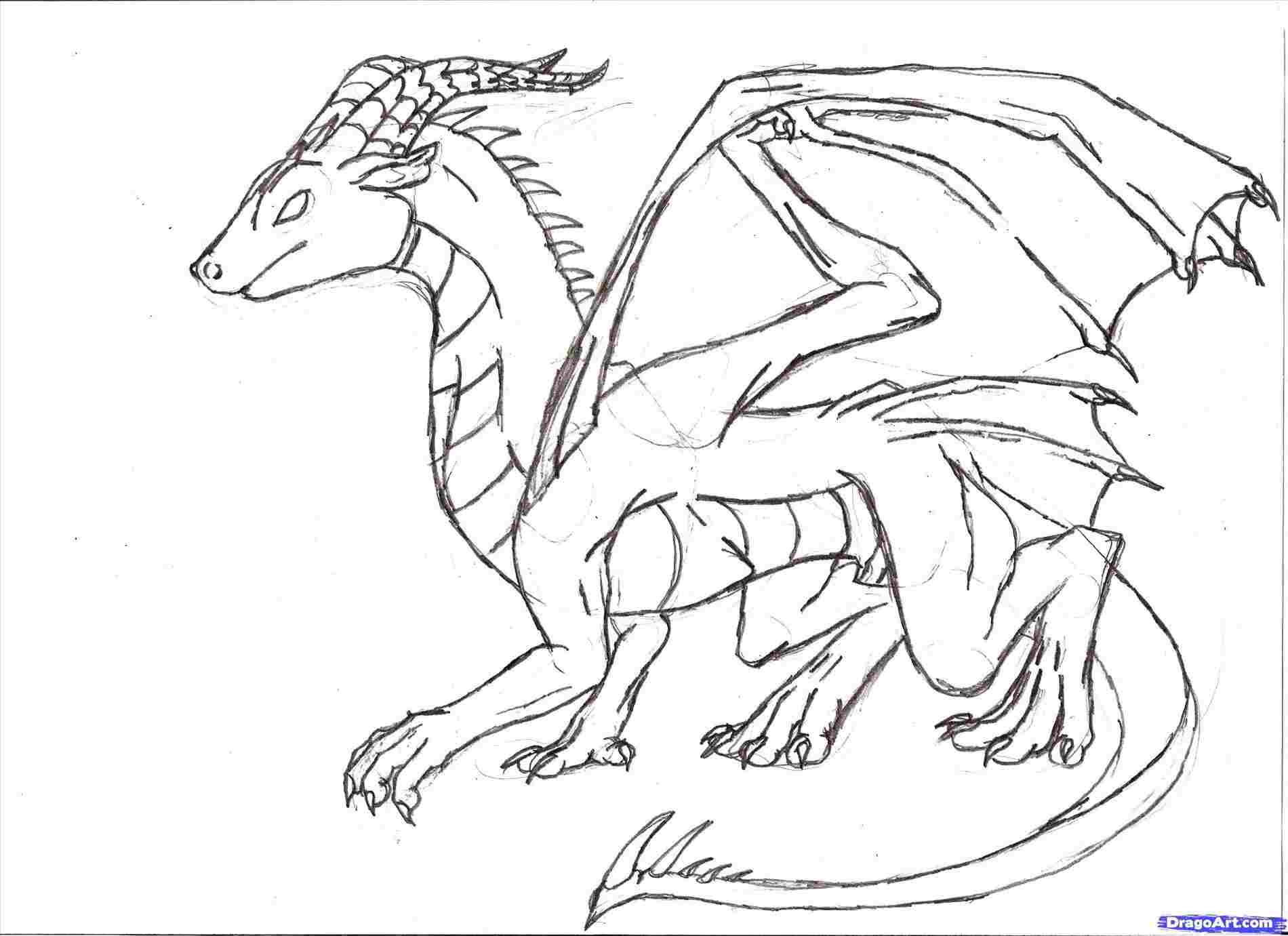 Simple Dragon Line Drawing at Explore collection