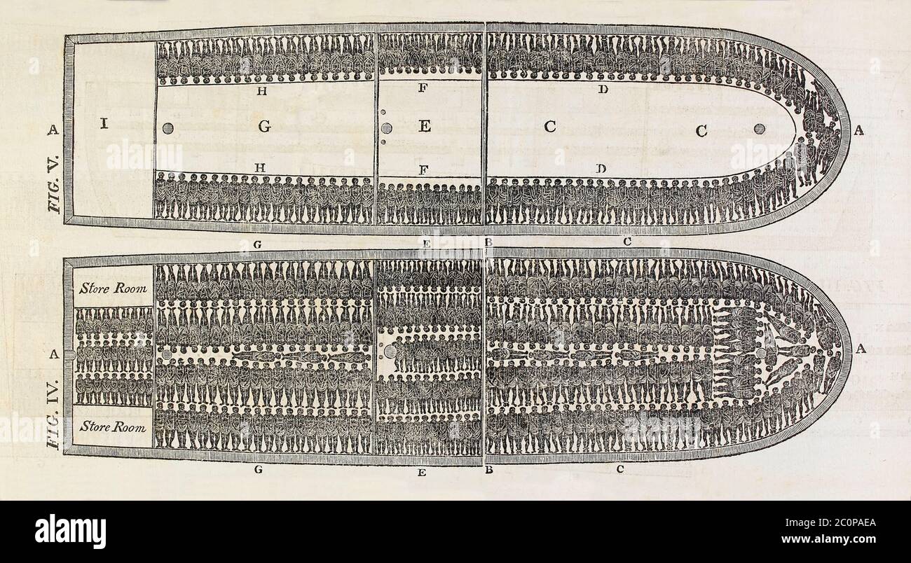 Plan of the slave ship Brookes designed to show the suffering of