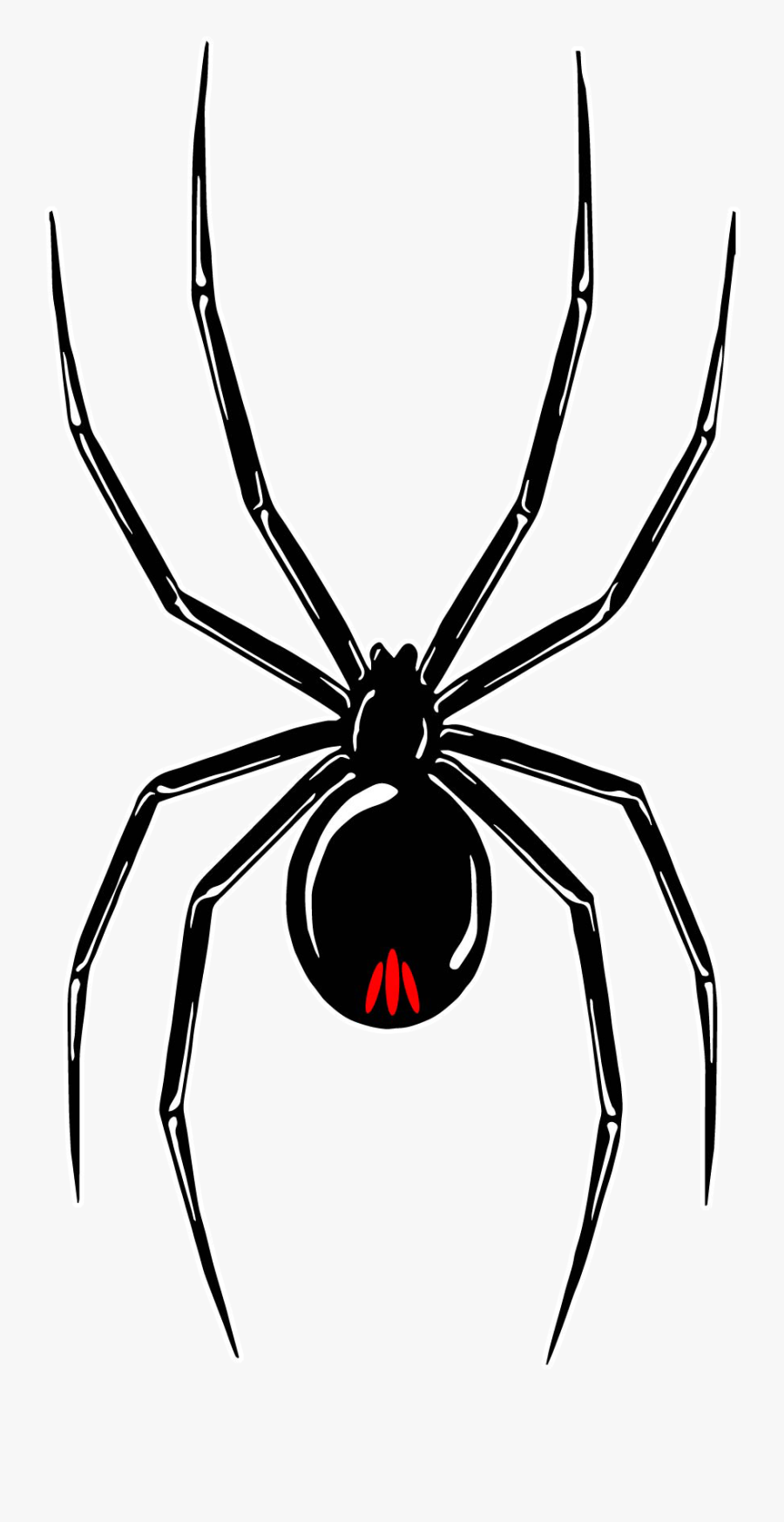 Black Widow Tour Black Widow Spider Stencil , Free Transparent