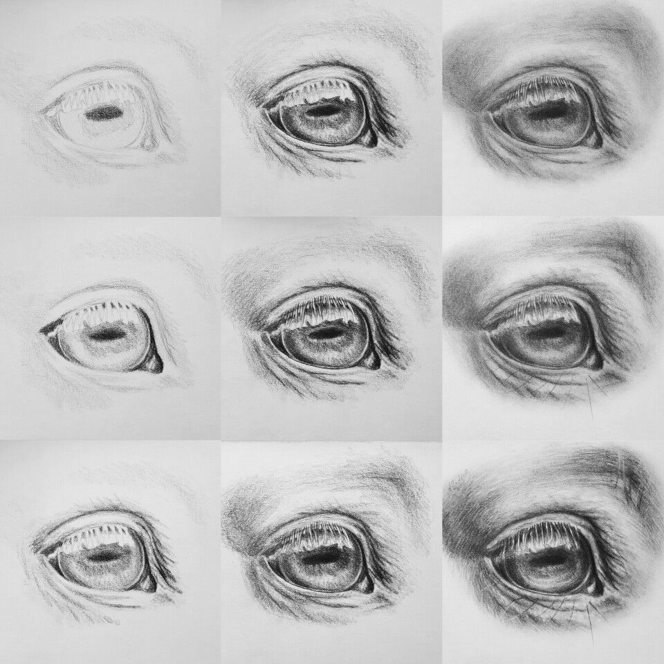 How To Draw Horse Eyes Step By Step at Drawing Tutorials
