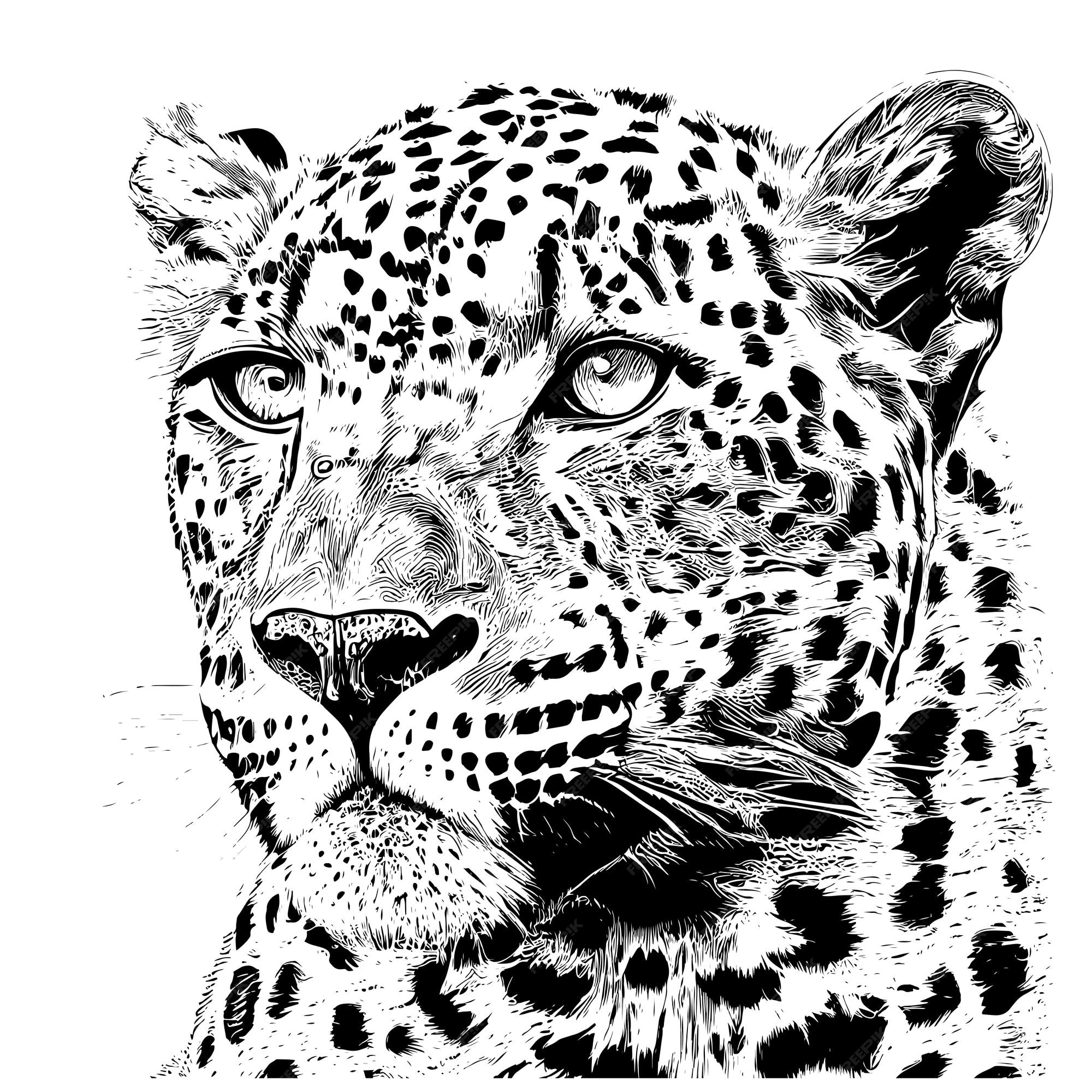Premium Vector A black and white drawing of a leopard's face.