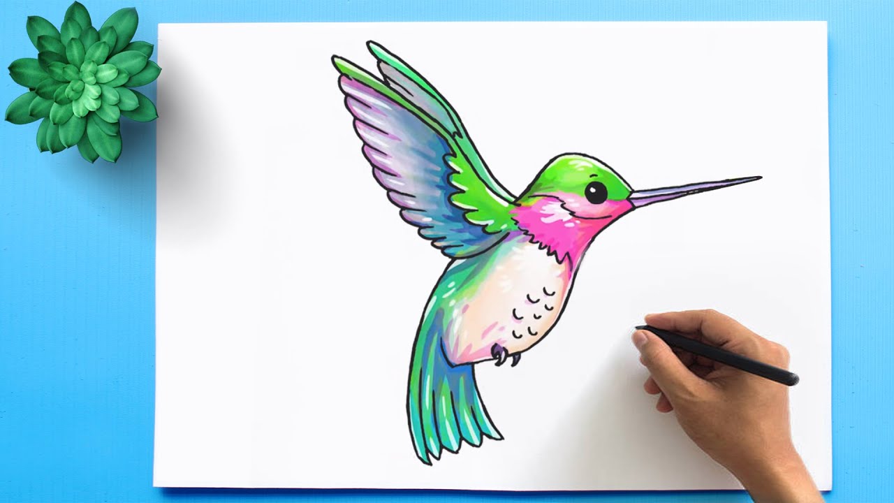 Hummingbird Drawing Easy How to Draw a Hummingbird YouTube
