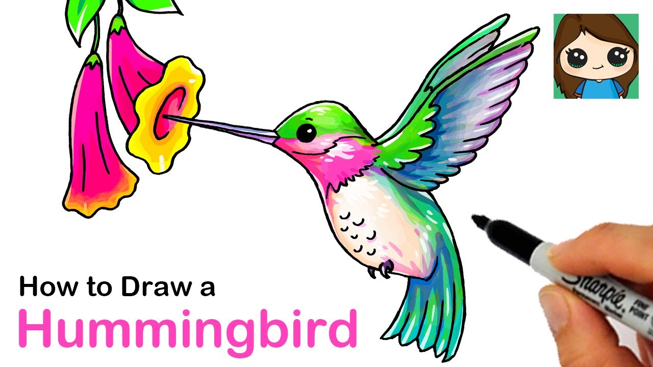 How To Draw A Simple Hummingbird Draw easy