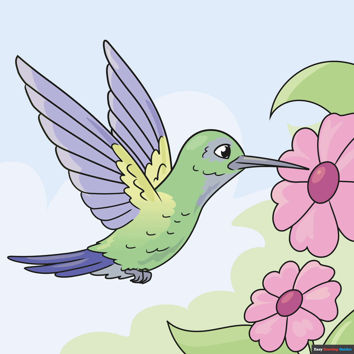 How To Draw A Hummingbird And Flower Step By Step Best Flower Site