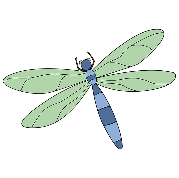 How to Draw a Dragonfly Really Easy Drawing Tutorial
