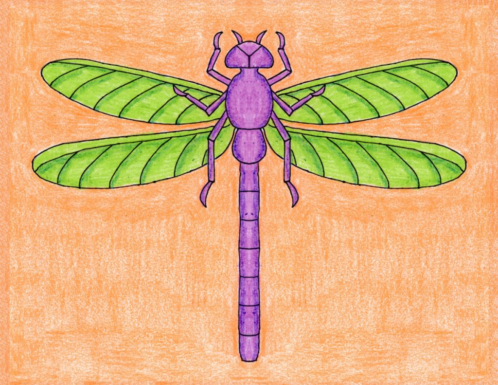 Draw a Realistic Dragonfly · Art Projects for Kids