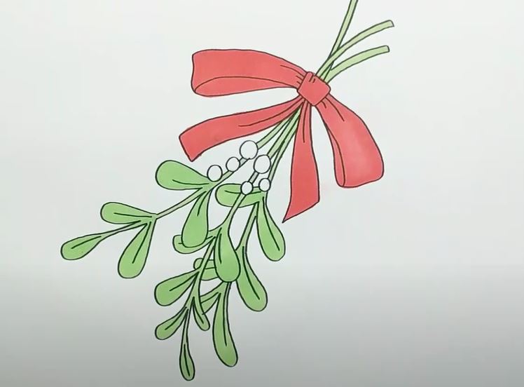 How To Draw Mistletoe Step by Step