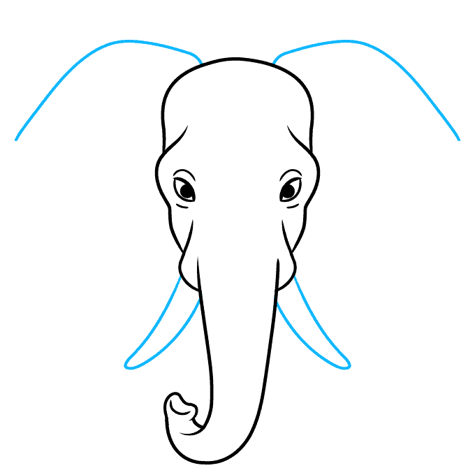 How to Draw a Realistic Elephant Head and Face Really Easy Drawing