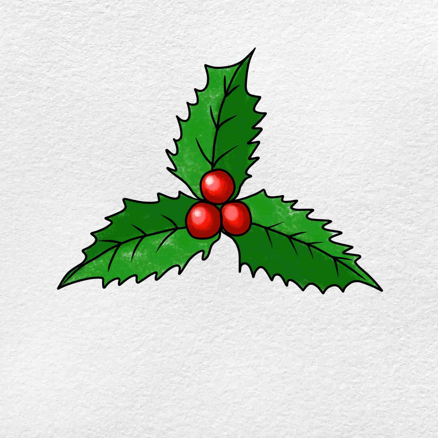 How to Draw Mistletoe HelloArtsy